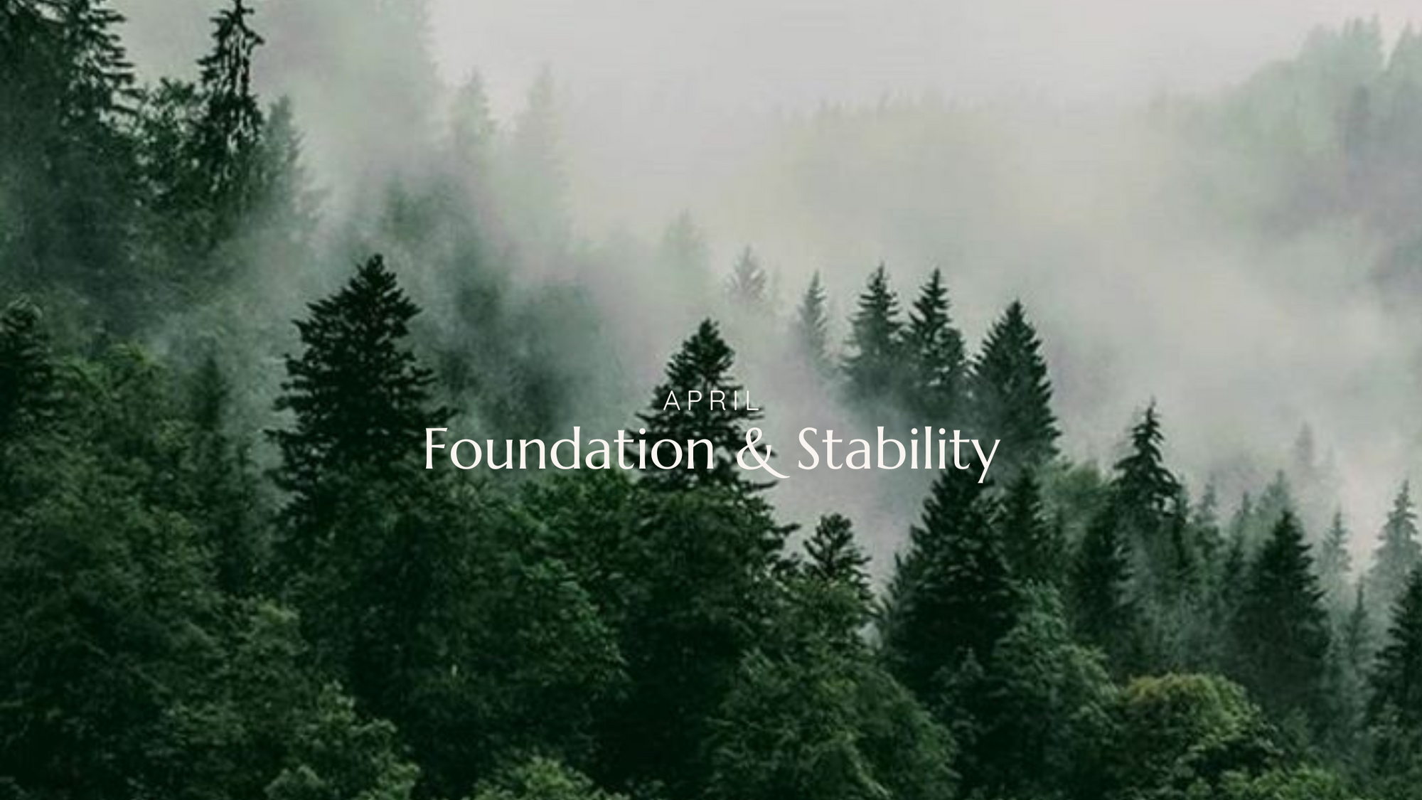 April at MoMaCo: Grounding into Stability & Renewal 🌿✨